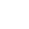 Special Care & Attention to Each Case icon