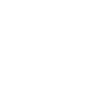 decades of legal experience icon